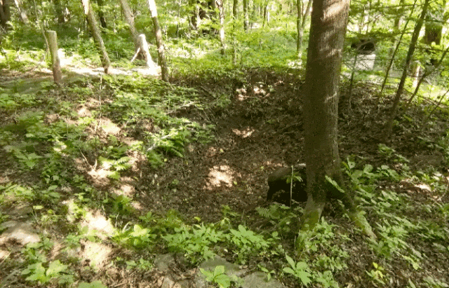 东北抗联战士在“密营”,如何撑过零下40℃的寒冬?