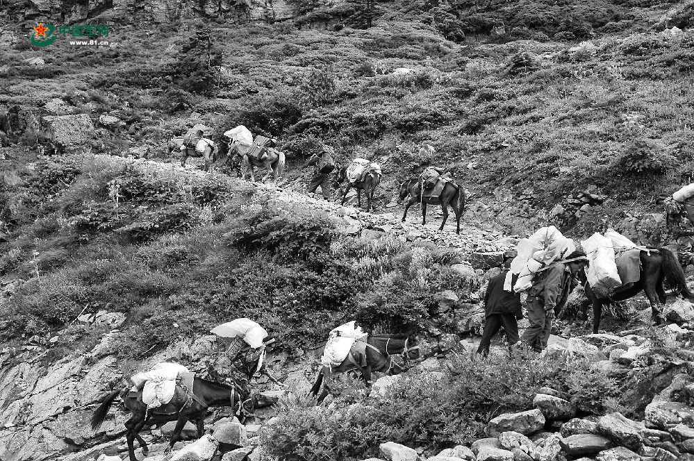 墨脱边防:从“路在远方”到“路在脚下”