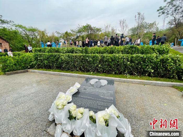 一碗鸡蛋面的故事，为什么让这位美国老人哽咽？