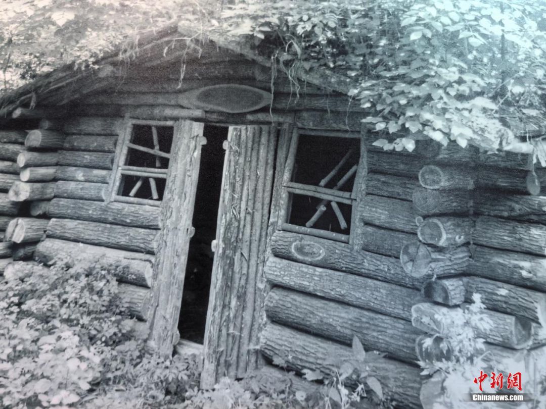 东北抗联战士在“密营”,如何撑过零下40℃的寒冬?