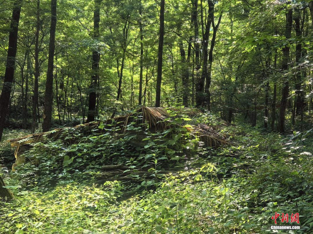 东北抗联战士在“密营”,如何撑过零下40℃的寒冬?