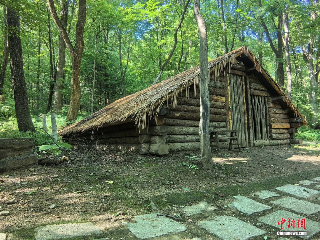 东北抗联战士在“密营”,如何撑过零下40℃的寒冬?