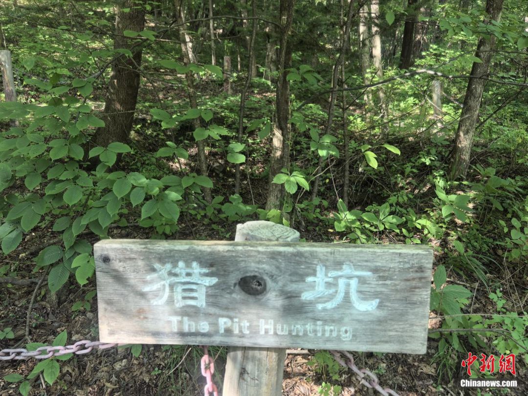 东北抗联战士在“密营”,如何撑过零下40℃的寒冬?