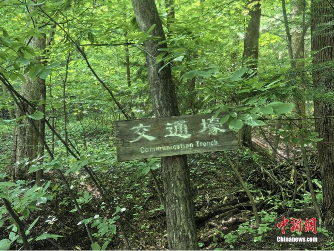 东北抗联战士在“密营”,如何撑过零下40℃的寒冬?