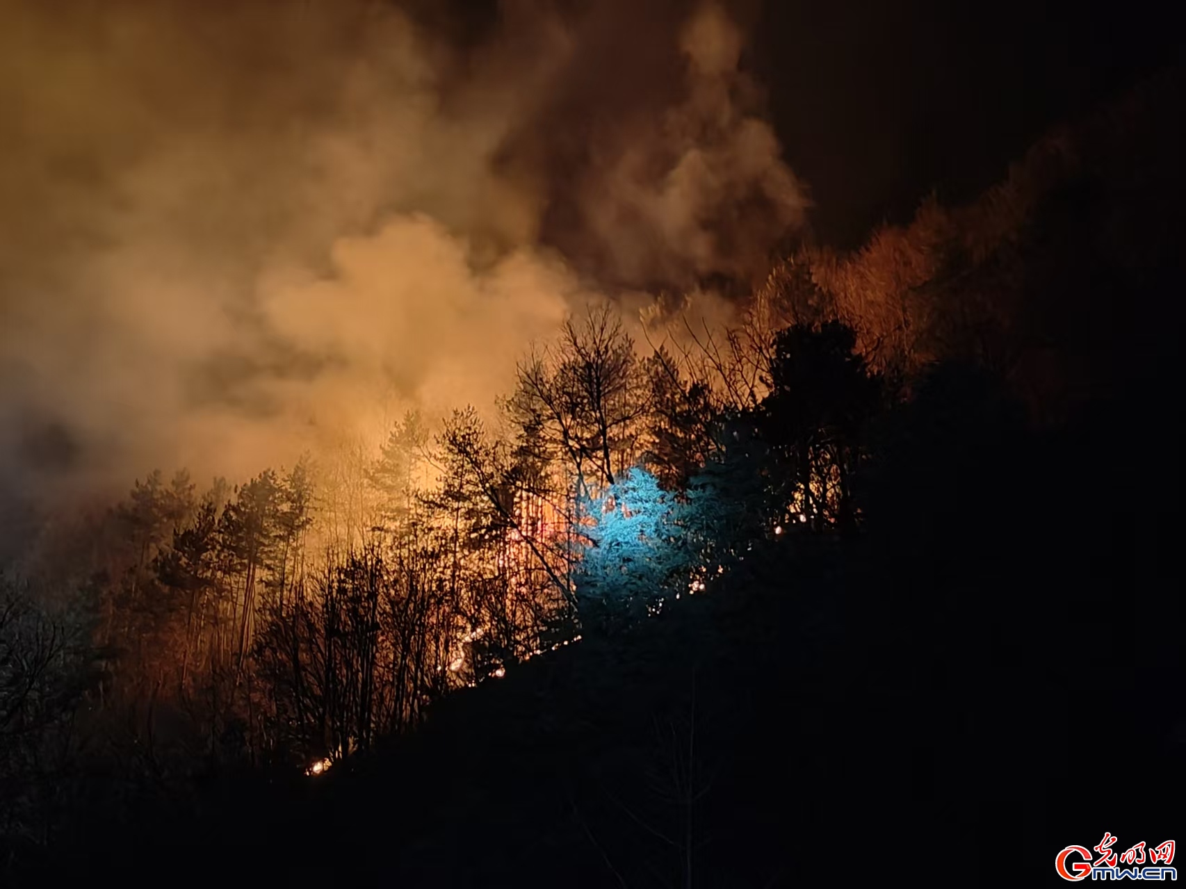 探亲期间勇扑山火 用行动诠释军人担当，张池好样的！