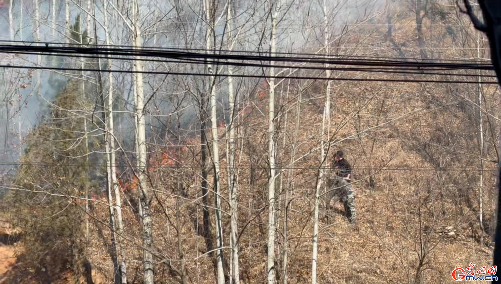 探亲期间勇扑山火 用行动诠释军人担当，张池好样的！