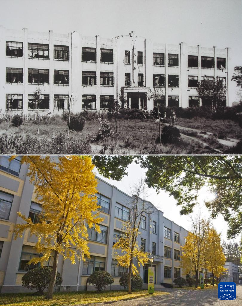 寻找照片中的TA·抗战胜利80周年丨龙华集中营幸存者白丽诗：在伤痕之上播种和平